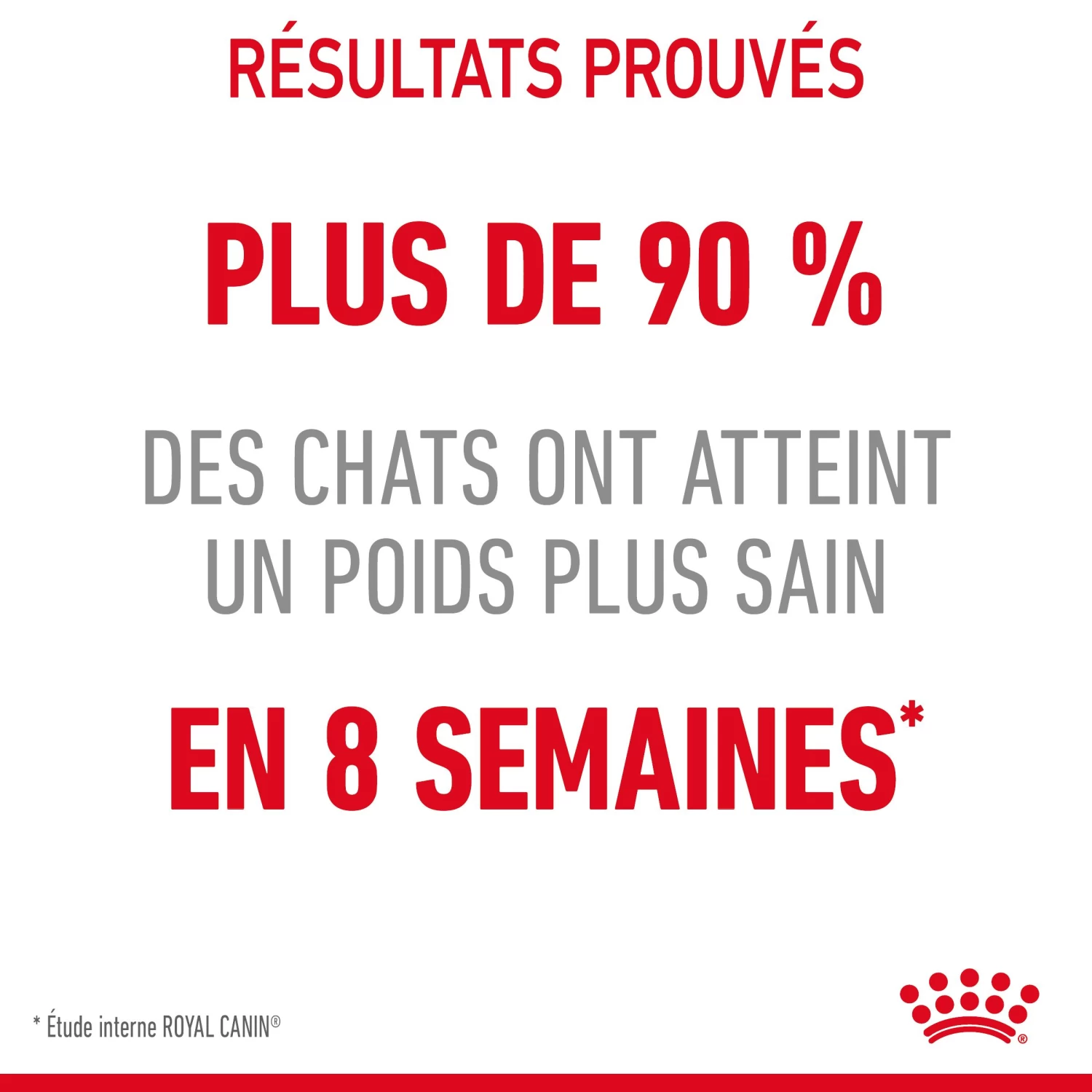 Royal Canin Light Weight Care En Sauce Pour Chat 12 Sachets De 85g 15 Royal Canin Light Weight Care En Sauce Pour Chat 12 Sachets De 85g – Image 13
