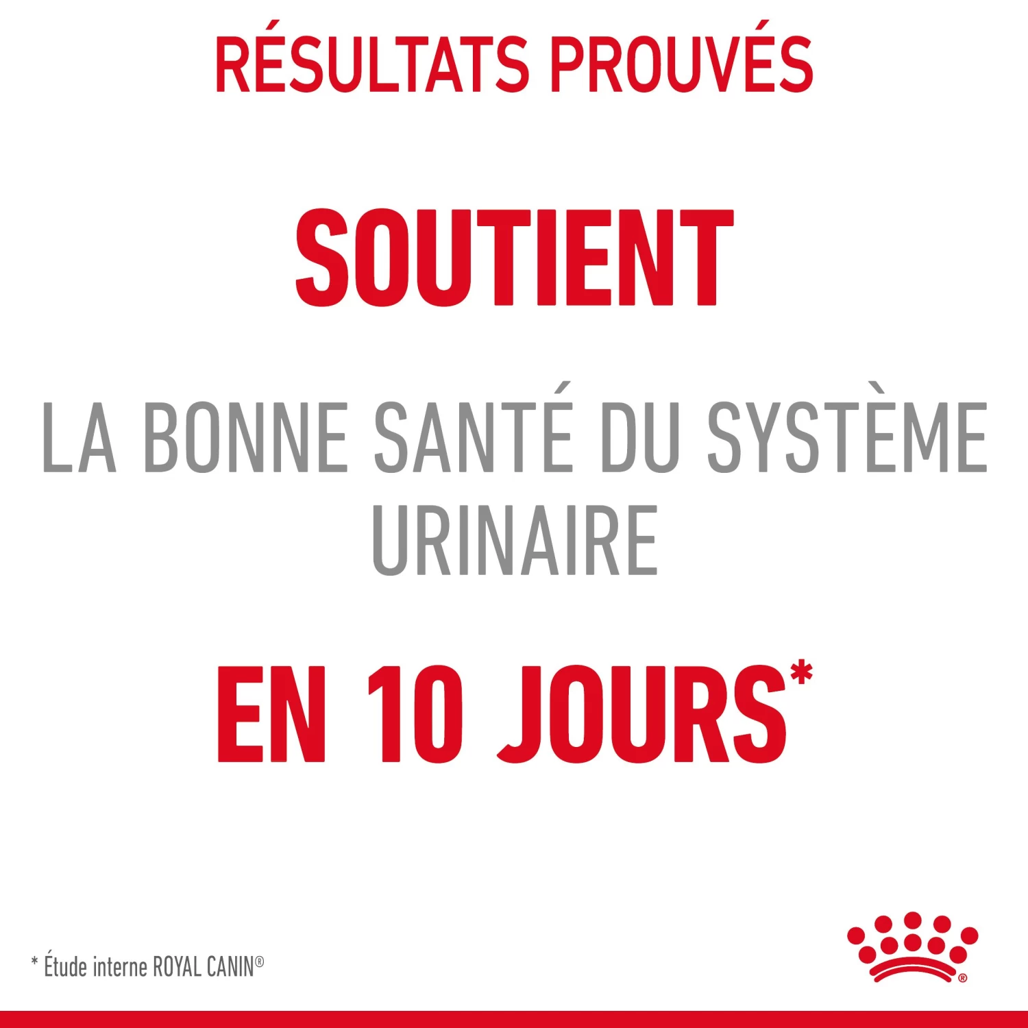Royal Canin Urinary Care Pour Chat 2kg 8 Royal Canin Urinary Care Pour Chat 2kg – Image 6