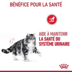 Royal Canin Urinary Care Pour Chat 2kg 19 Royal Canin Urinary Care Pour Chat 2kg -Royal Canin Royal Canin Urinary Care Chat FR 07 1