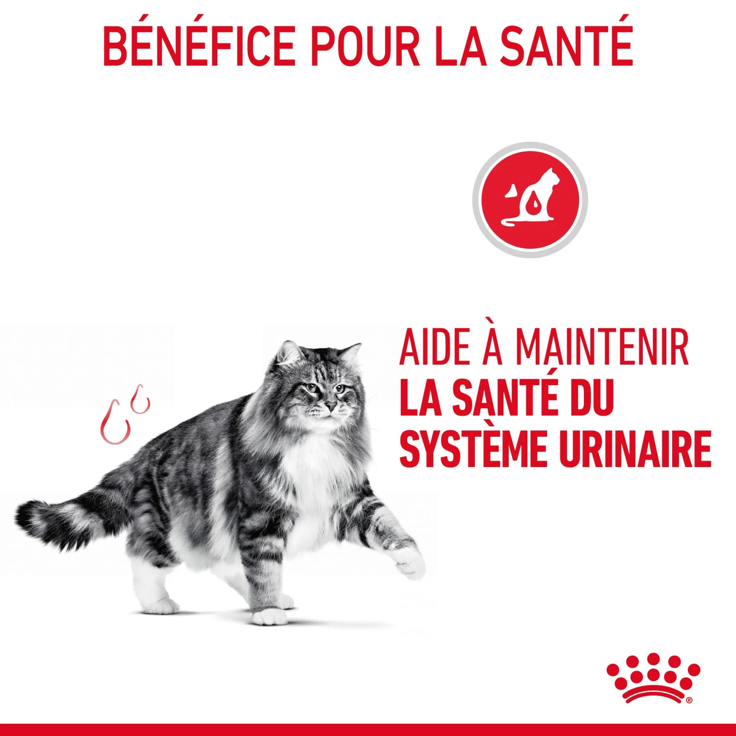 Royal Canin Urinary Care Pour Chat 2kg 9 Royal Canin Urinary Care Pour Chat 2kg – Image 7