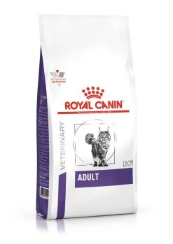 Royal Canin Chat Adult -Royal Canin a583bb8148bd94a2063eda9383c79d2e7045d84793ef649bfe62ec4253b68629