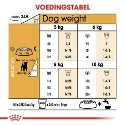 Royal Canin Jack Russell Adult Pour Chien 7,5kg 8 Royal Canin Jack Russell Adult Pour Chien 7,5kg -Royal Canin ad90d20e8be659a05b8d6ea3d9c84a4959dbd6443649feb4970eb79fc6868336 2