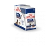 Royal Canin Maxi Ageing 8+ Pour Chien 10 X 140g -Royal Canin b0b43132a0501787f5447e97d82f82218426be26eb348de4f750b857b6561a87