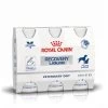 Royal Canin Recovery Liquid 3 Flacons De 200ml -Royal Canin b42bd355c32bf4ad4306b22423a45fe3ea75d26760554b8be10393c3f38a4e18