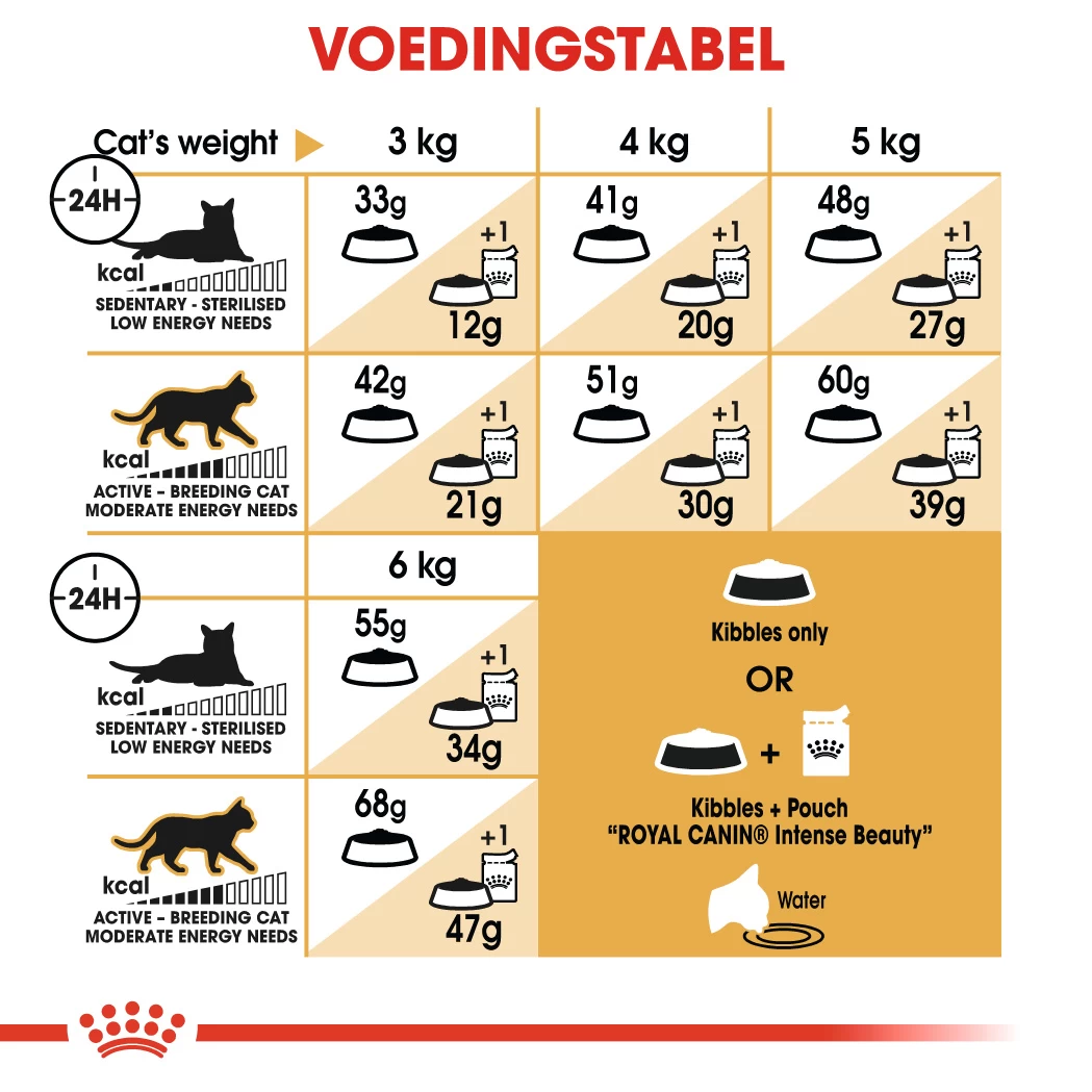 Royal Canin Siamois 38 Pour Chat 10kg 4 Royal Canin Siamois 38 Pour Chat 10kg – Image 2