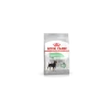 Royal Canin Digestive Care Mini Adult Pour Chien 3kg 2 Royal Canin Digestive Care Mini Adult Pour Chien 3kg -Royal Canin c495b22dbbcfae188bffeec9049781301dae876c1d636bad8e6d6b06d5b8c93c