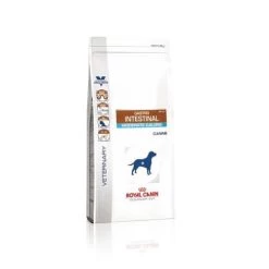 Royal Canin Gastro Intestinal Moderate Calorie Chien -Royal Canin c96be46b08946a606f224303102df65abfaed4d03ddb9e5c7287ed64f3014855