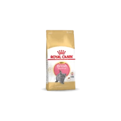 Royal Canin Britisch Shorthair Chatton 10kg
