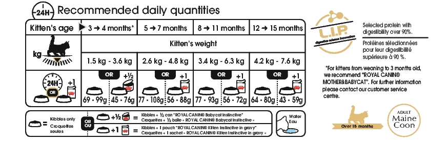 Royal Canin Maine Coon Chaton Pour Chat 10kg 4 Royal Canin Maine Coon Chaton Pour Chat 10kg – Image 2