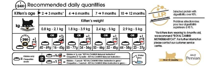 Royal Canin Chat Persan Chatton 4kg 4 Royal Canin Chat Persan Chatton 4kg – Image 2