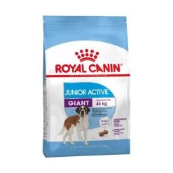 Royal Canin Giant Junior Active Pour Chien 15kg