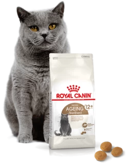 ROYAL CANIN Ageing Sterilised +12 2kg 11 ROYAL CANIN Ageing Sterilised +12 2kg -Royal Canin fre pl ROYAL CANIN Ageing Sterilised 12 2kg 16900 4