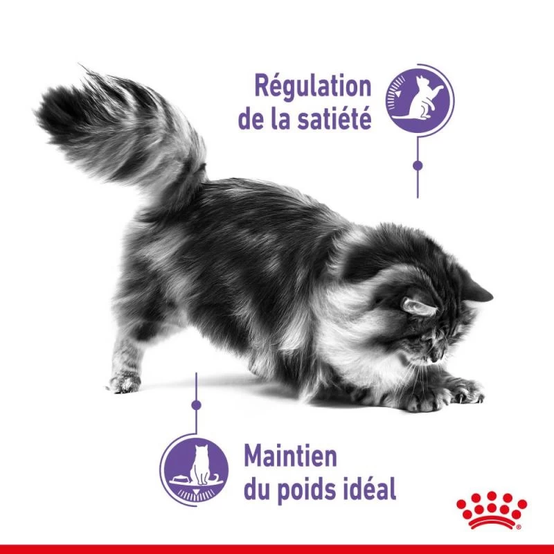 ROYAL CANIN Appetite Control Care 2kg X2 5 ROYAL CANIN Appetite Control Care 2kg X2 – Image 3