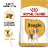 ROYAL CANIN Beagle Adult 12kg X2 1 ROYAL CANIN Beagle Adult 12kg X2 -Royal Canin fre pl ROYAL CANIN Beagle Adult 12kg x2 30601 1