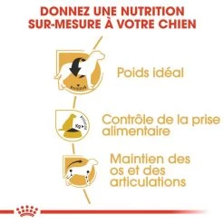 ROYAL CANIN Beagle Adult 12kg X2 11 ROYAL CANIN Beagle Adult 12kg X2 -Royal Canin fre pl ROYAL CANIN Beagle Adult 12kg x2 30601 4