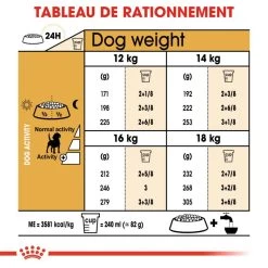 ROYAL CANIN Beagle Adult 12kg X2 12 ROYAL CANIN Beagle Adult 12kg X2 -Royal Canin fre pl ROYAL CANIN Beagle Adult 12kg x2 30601 5
