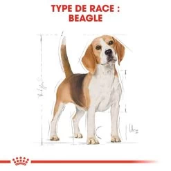 ROYAL CANIN Beagle Adult 12kg X2 13 ROYAL CANIN Beagle Adult 12kg X2 -Royal Canin fre pl ROYAL CANIN Beagle Adult 12kg x2 30601 6