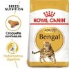 ROYAL CANIN Bengal Adult 10kg -Royal Canin fre pl ROYAL CANIN Bengal Adult 10kg 15888 1