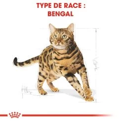 ROYAL CANIN Bengal Adult 2kg -Royal Canin fre pl ROYAL CANIN Bengal Adult 2kg 15883 3