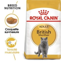 ROYAL CANIN British Shorthair Adult 10kg
