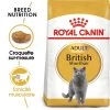 ROYAL CANIN British Shorthair Adult 2kg 1 ROYAL CANIN British Shorthair Adult 2kg -Royal Canin fre pl ROYAL CANIN British Shorthair Adult 2kg 15953 1