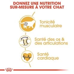 ROYAL CANIN British Shorthair Adult 2kg -Royal Canin fre pl ROYAL CANIN British Shorthair Adult 2kg 15953 4