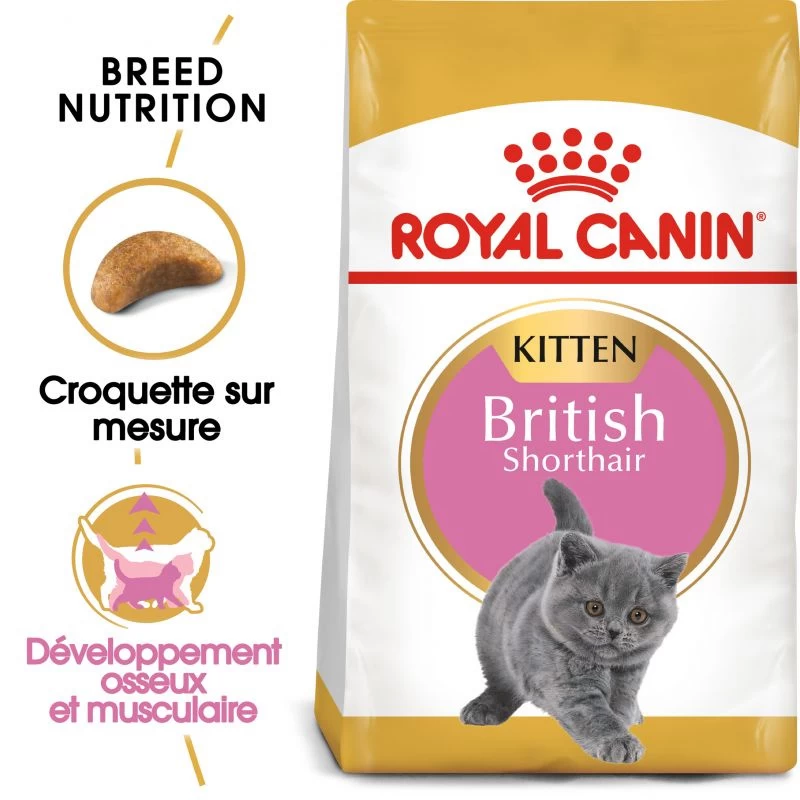 ROYAL CANIN British Shorthair Kitten 2kg 3 ROYAL CANIN British Shorthair Kitten 2kg