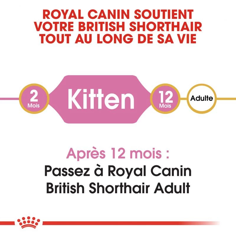 ROYAL CANIN British Shorthair Kitten 2kg 7 ROYAL CANIN British Shorthair Kitten 2kg – Image 5