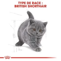 ROYAL CANIN British Shorthair Kitten 400g X2 -Royal Canin fre pl ROYAL CANIN British Shorthair Kitten 400g x2 30593 7