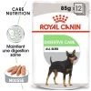 ROYAL CANIN CCN Digestive Care Pâté 12x85g -Royal Canin fre pl ROYAL CANIN CCN Digestive Care Pate 12x85g 10093 1