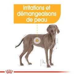 ROYAL CANIN CCN Maxi Dermacomfort 3kg -Royal Canin fre pl ROYAL CANIN CCN Maxi Dermacomfort 3kg 16272 7