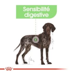 ROYAL CANIN CCN Maxi Digestive Care 3kg 13 ROYAL CANIN CCN Maxi Digestive Care 3kg -Royal Canin fre pl ROYAL CANIN CCN Maxi Digestive Care 3kg 10070 7