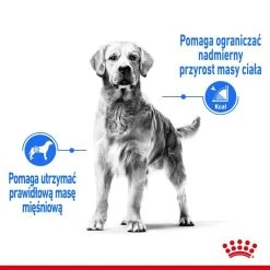 ROYAL CANIN CCN Maxi Light Weight Care 12kg Croquettes Pour Chiens Adultes, Grandes Races Sujettes Au Surpoids + Surprise Pour Chien Gratuite -Royal Canin fre pl ROYAL CANIN CCN Maxi Light Weight Care 12kg croquettes pour chiens adultes grandes races sujettes au surpoids surprise pour chien gratuite 25889 4