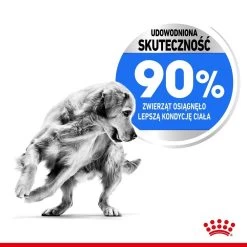 ROYAL CANIN CCN Maxi Light Weight Care 12kg Croquettes Pour Chiens Adultes, Grandes Races Sujettes Au Surpoids + Surprise Pour Chien Gratuite -Royal Canin fre pl ROYAL CANIN CCN Maxi Light Weight Care 12kg croquettes pour chiens adultes grandes races sujettes au surpoids surprise pour chien gratuite 25889 5