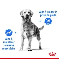 ROYAL CANIN CCN Maxi Light Weight Care 3kg -Royal Canin fre pl ROYAL CANIN CCN Maxi Light Weight Care 3kg 10055 9
