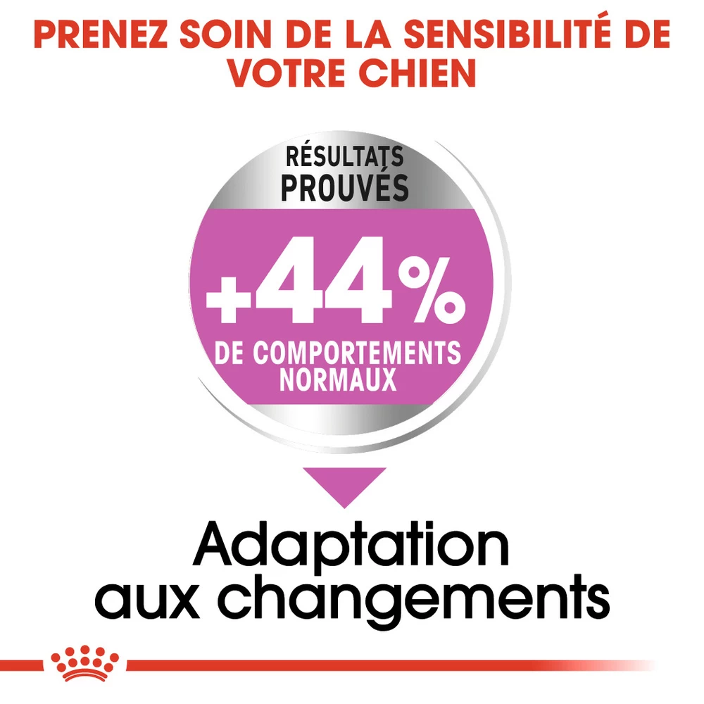 ROYAL CANIN CCN Maxi Relax Care 3kg 4 ROYAL CANIN CCN Maxi Relax Care 3kg – Image 2