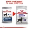 ROYAL CANIN CCN Maxi Sterilised 12kg Nourriture Sèche Pour Chiens Adultes De Grande Race Stérilisés -Royal Canin fre pl ROYAL CANIN CCN Maxi Sterilised 12kg nourriture seche pour chiens adultes de grande race sterilises 25934 2