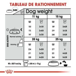 ROYAL CANIN CCN Medium Dental Care 10kg -Royal Canin fre pl ROYAL CANIN CCN Medium Dental Care 10kg 10074 6