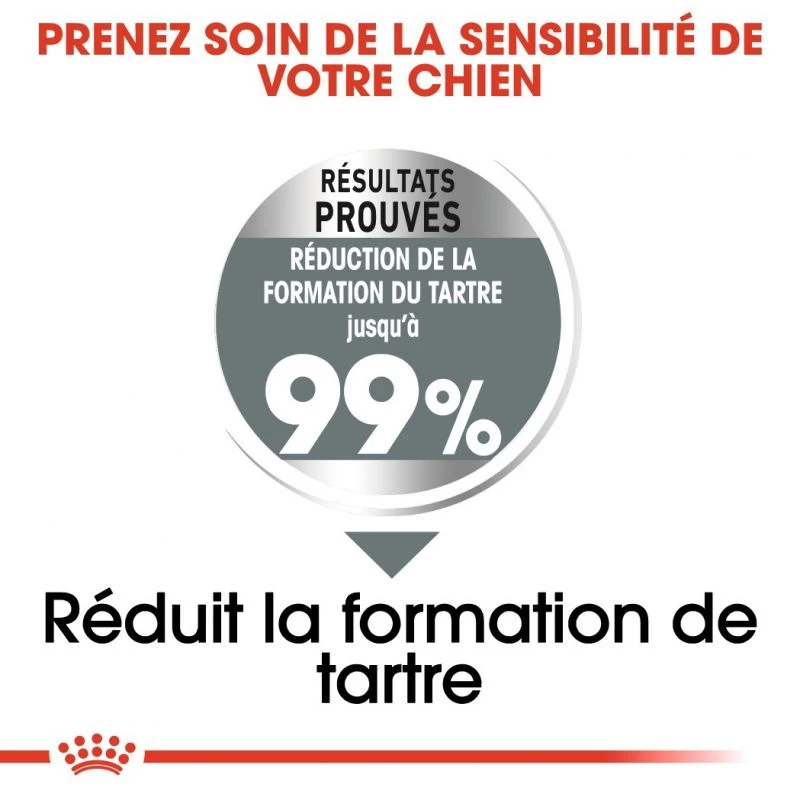 ROYAL CANIN CCN Medium Dental Care 3kg 4 ROYAL CANIN CCN Medium Dental Care 3kg – Image 2