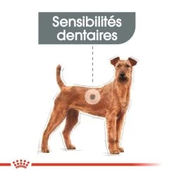 ROYAL CANIN CCN Medium Dental Care 3kg 12 ROYAL CANIN CCN Medium Dental Care 3kg -Royal Canin fre pl ROYAL CANIN CCN Medium Dental Care 3kg 10073 7