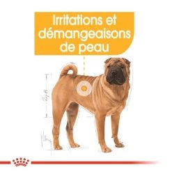 ROYAL CANIN CCN Medium Dermacomfort 3kg -Royal Canin fre pl ROYAL CANIN CCN Medium Dermacomfort 3kg 16276 2