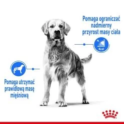 ROYAL CANIN CCN Medium Light Weight Care 12kg Nourriture Sèche Pour Chiens Adultes, Races Moyennes Sujettes à L'embonpoint -Royal Canin fre pl ROYAL CANIN CCN Medium Light Weight Care 12kg nourriture seche pour chiens adultes races moyennes sujettes a lembonpoint 26050 4