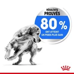 ROYAL CANIN CCN Medium Light Weight Care 3kg 12 ROYAL CANIN CCN Medium Light Weight Care 3kg -Royal Canin fre pl ROYAL CANIN CCN Medium Light Weight Care 3kg 10066 5