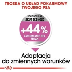 ROYAL CANIN CCN Medium Relax Care 10kg -Royal Canin fre pl ROYAL CANIN CCN Medium Relax Care 10kg 10077 3