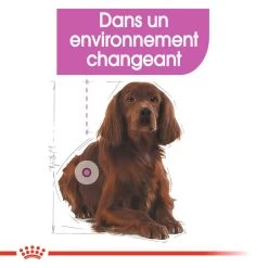 ROYAL CANIN CCN Medium Relax Care 3kg -Royal Canin fre pl ROYAL CANIN CCN Medium Relax Care 3kg 16279 5