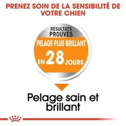 ROYAL CANIN CCN Mini Coat Care 3kg -Royal Canin fre pl ROYAL CANIN CCN Mini Coat Care 3kg 16282 6