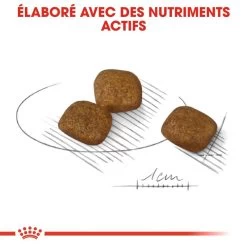 ROYAL CANIN CCN Mini Coat Care 8kg -Royal Canin fre pl ROYAL CANIN CCN Mini Coat Care 8kg 10079 5