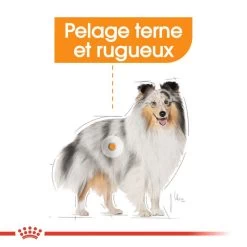 ROYAL CANIN CCN Mini Coat Care 8kg -Royal Canin fre pl ROYAL CANIN CCN Mini Coat Care 8kg 10079 6