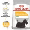 ROYAL CANIN CCN Mini Dermacomfort 1kg -Royal Canin fre pl ROYAL CANIN CCN Mini Dermacomfort 1kg 16285 1