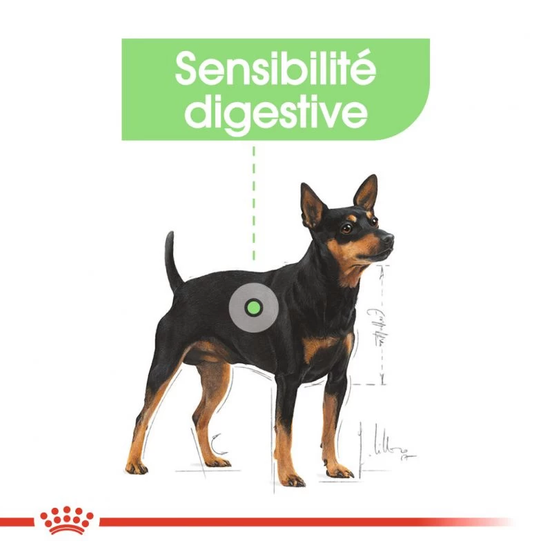 ROYAL CANIN CCN Mini Digestive Care 3kg 7 ROYAL CANIN CCN Mini Digestive Care 3kg – Image 5